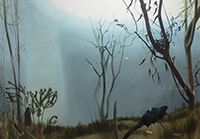 Australia Helsingissä