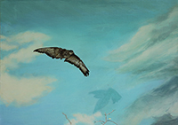 Liito maalatun taivaan läpi