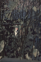 Takaikkuna / Rear window