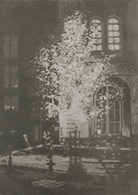 Valaistu puu - Fisketorvet